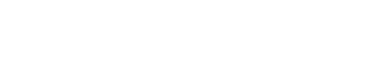 logo Alcoin - caso de éxito